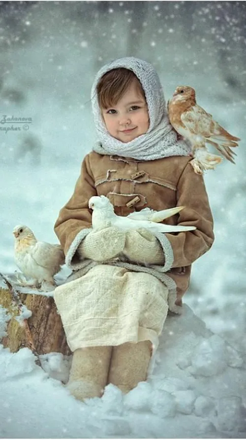 دخترونه برف کبوتر قهوه ای برفی زمستانی زیبا