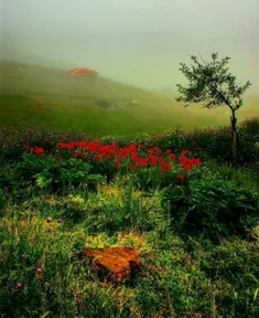 منظره ای فوق العاده