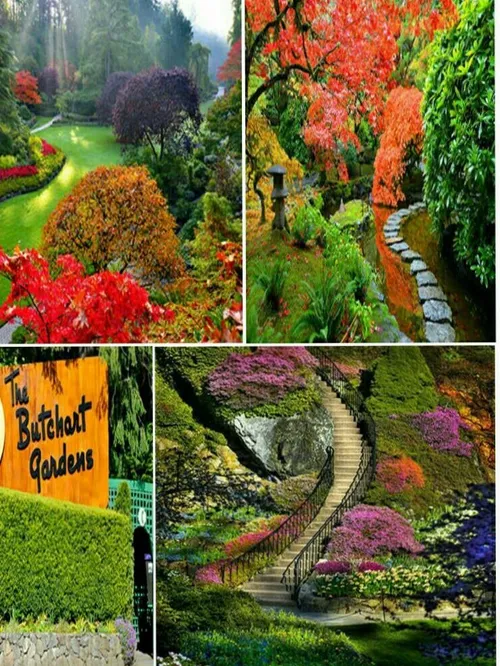 باغ بوچارت (Butchart Garden) واقع در ایالت بریتیش کلمبیا 