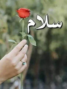 سلاااام ویسگونیای مهربونم روزتون شاد😘  ❤