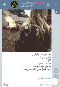 سعید فلاحی (زانا کوردستانی)