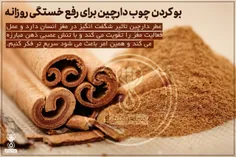 بو کردن چوب دارچین برای رفع خستگی روزانه !☕ ️