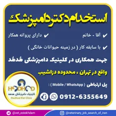 استخدام دامپزشک در کلینیک دامپزشکی هدهد واقع در تهران