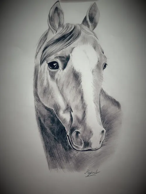 از نقاشیام براتون بگم...❤ ️    اسب