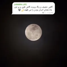 ماه معنای انسان بودن را میفهمد!:)