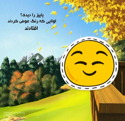 پاییز درسهای خوبی به آدم میده