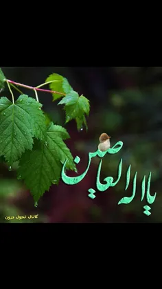 یااله العاصین