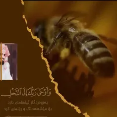 سوره النحل
قاری رعدالکردی