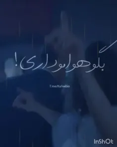 ایبیکم خوشگل فرفری چش رنگی❤😍🤗💞