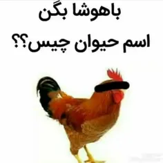 نظر🤔🤔🤔🤔🤔