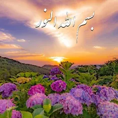 🌸شروع روز را