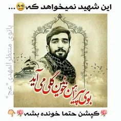 ‍ 🌹 🌹  محسن جان! دوباره شروع کردی؟!