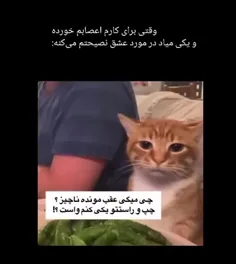بزنم به شت، خاک بره چشتت