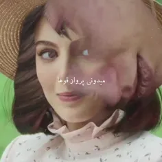 پرواز قوها ینی چی؟
