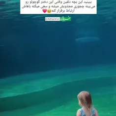 بببنید این بچه دلفین وقتی این دختر کوچولو رو میبینه 