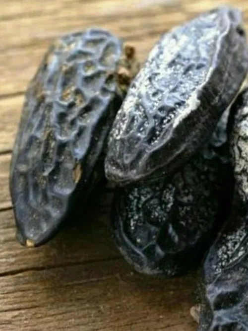 لوبیای تونکا به خوشمزه ترین ماده غذایی ناشناخته دنیا معرو