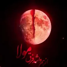 قرآن به سرم بود که امشب شب قدر است