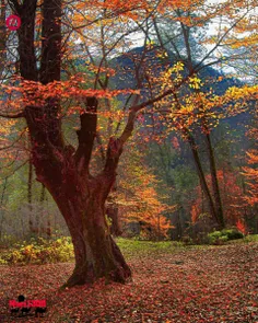 زیباترین مطلبی که