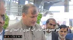 برومندی خبر داد: ممنوعیت صادرات کیوی از ابتدای مهر برداشت