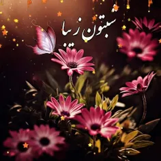در سکوت و آرامش شب تون زیبا ❤🌺💐