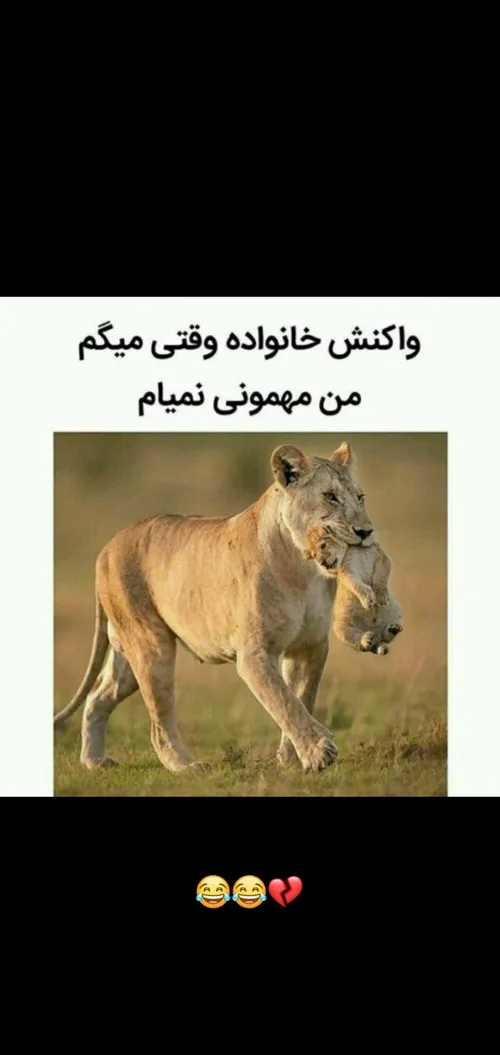 واقعیت 🤦‍♀️😂😂