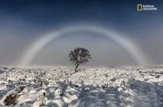 یک عکاس اسکاتلندی، تصویری خیره‌کننده از یک "کمان مه" در ش