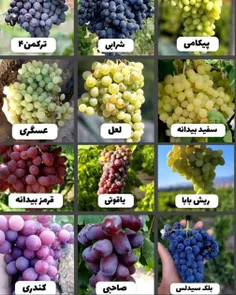 یوقت سوال کنکور نشه این همه؟