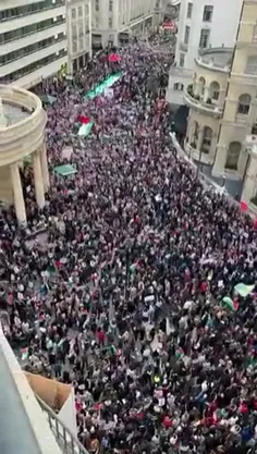 💠.....Pro-Palestine march in London💠