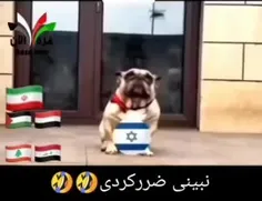 سگ هار منطقه 😂