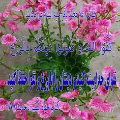 #حضرت_امام_محمد_باقر_ع می فرمایند: