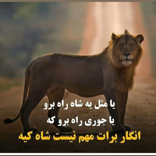 تیرماهی