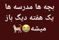 هعیی گناه دالیم:) 
میوووو🐈