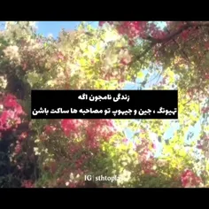 راست میگه هر وقت تهیونگ تو مصاحبه دهنشو باز می کنه نامجون