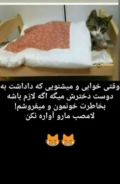 #اقای_چت