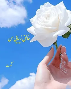 خالق زیبایی ها شکرت