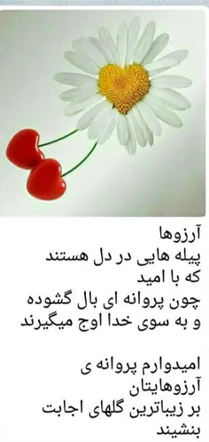 شعر و ادبیات maryazzzz 17247612