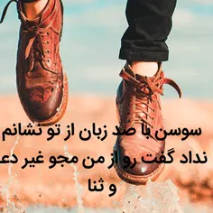 محسن چاوشی