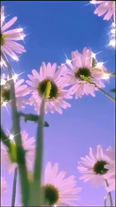 🌻⃟⃟ ⃟⃟💕^-^