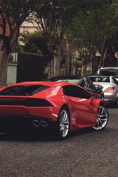 Exotic cars