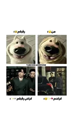 ماشاالله ماشاالله کراش های عزیز❤️🧡