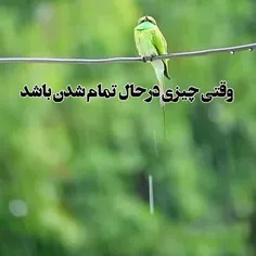 وقتی چیزی در حال تمام شدن باشد عزیز می‌شود... یک لحظه آفت