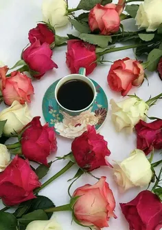 صبح آمده باز و موسم شادی ماست🌺