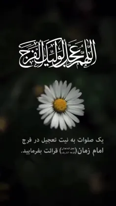 . ( اللهم عجل لولیک فرج و العافیه و النصر ) .