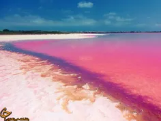 دریاچه ای صورتی رنگ در اسپانیا