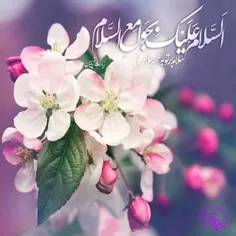 روز عید است همه دیدن سادات روند...