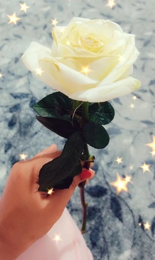 گل قشنگ دلنشین جذاب