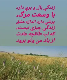 قشنگی های زندگی ❤❤❤