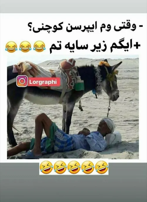 اقای چت