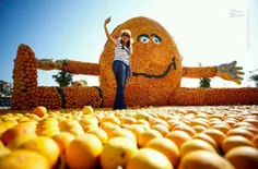 🍋 🍊  #جشنواره #لیمو و #پرتقال در ترکیه و فرانسه 😍 