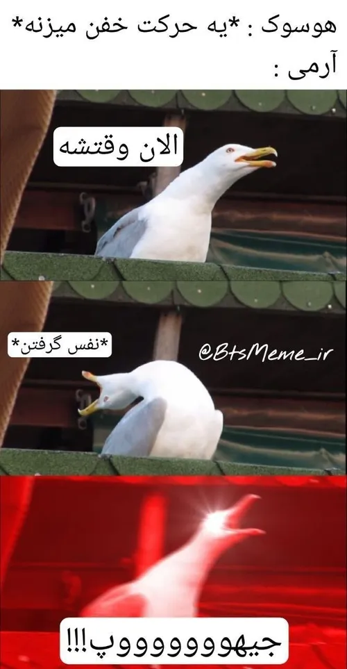 جرر وا جرر🤣